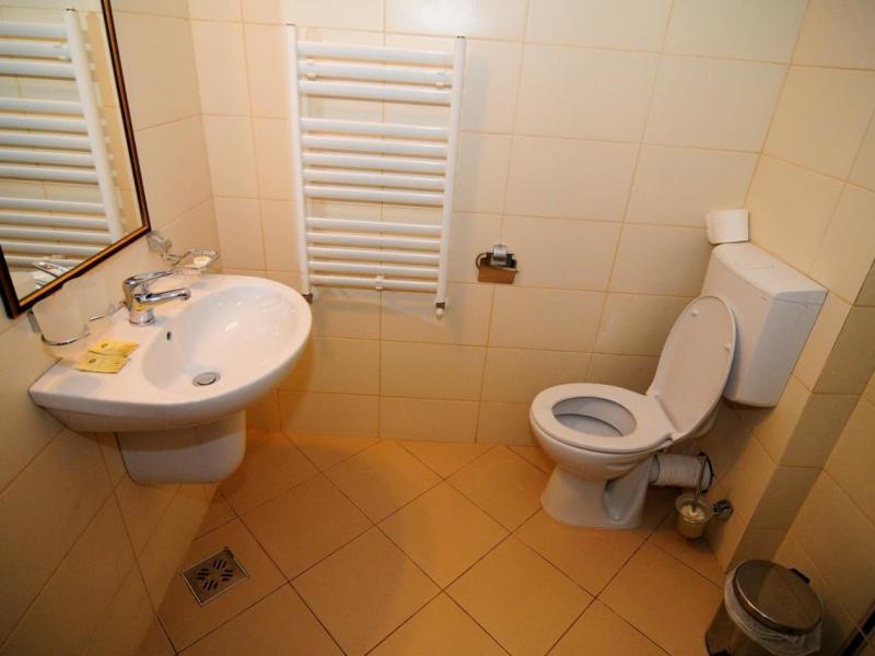 Geoagiu Băi Hotel Termal מראה חיצוני תמונה