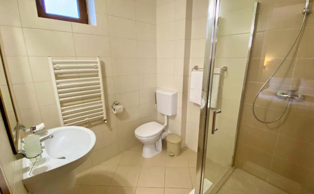 Geoagiu Băi Hotel Termal מראה חיצוני תמונה