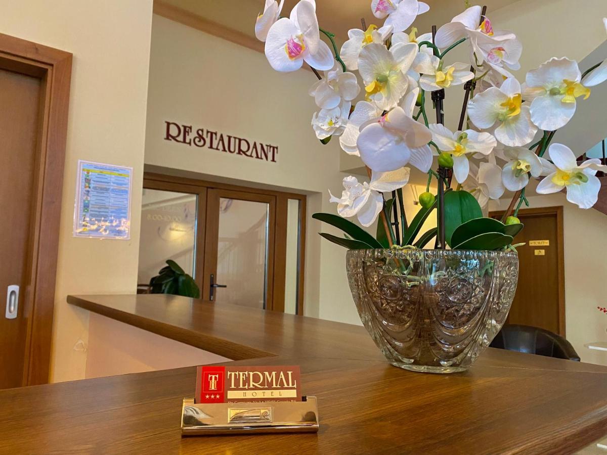 Geoagiu Băi Hotel Termal מראה חיצוני תמונה